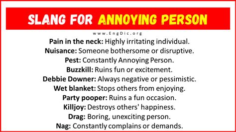 word for annoying person